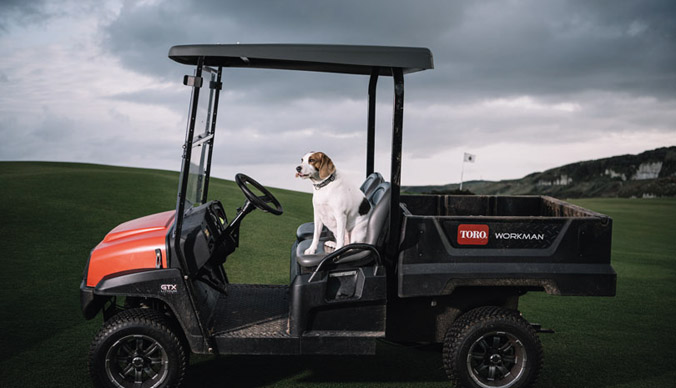 Royal Portrush Golf Club - Bella the Dog - our staff morale officer -